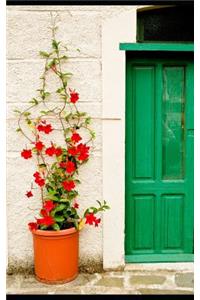 The Abandoned Project