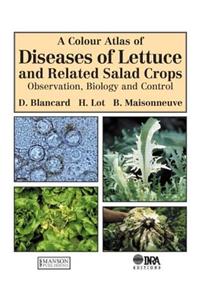 Colour Atlas of Diseases of Lettuce and Related Salad Crops