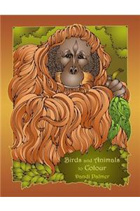 Birds and Animals to Colour