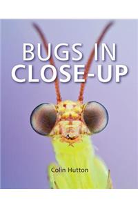 Bugs in Close-Up