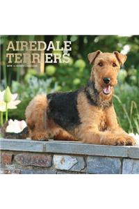 Airedale Terriers 2019 Square Foil