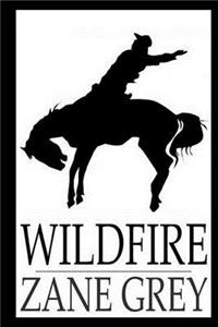 Wildfire