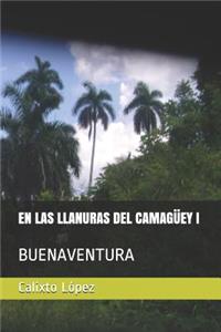 Las Llanuras del Camagüey I
