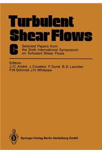 Turbulent Shear Flows 6