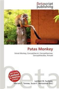 Patas Monkey