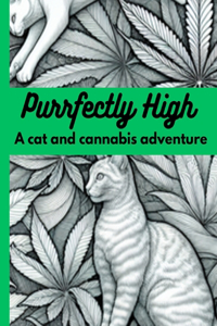 Purrfectly High