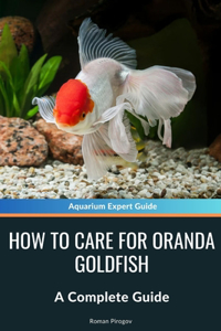 How to Care for Oranda Goldfish