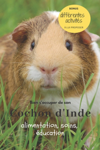 Bien s'occuper de son cochon d'Inde