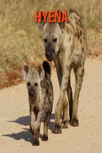 Hyena