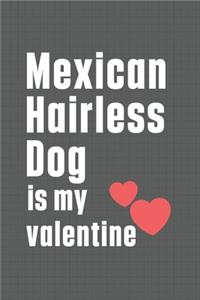 Mexican Hairless Dog is my valentine