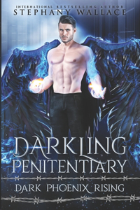 Darkling Penitentiary
