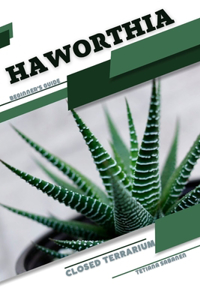 Haworthia