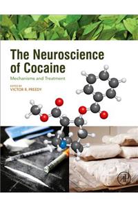 Neuroscience of Cocaine