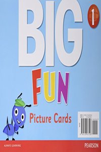 Big Fun 1 Picture Cards