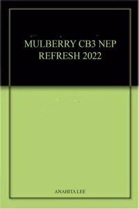 MULBERRY CB3 NEP REFRESH 2022