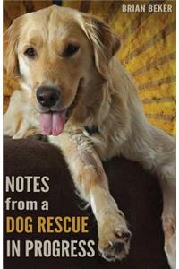 Notes from a Dog Rescue in Progress