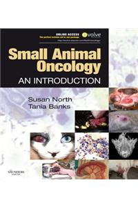 Small Animal Oncology E-Book