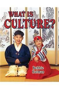 What Is Culture?