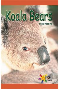 Koala Bears