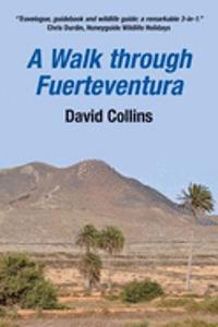 A Walk Through Fuerteventura