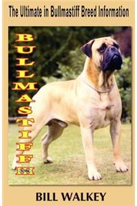 Bullmastiff III