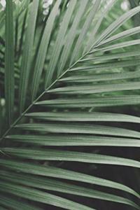 Journal Tropical Green 6x9 150 Lined Sheets