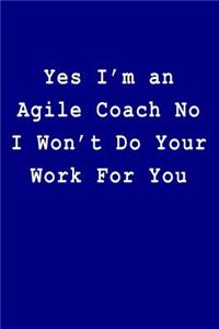 Yes I'm an Agile Coach No I Won't Do Your Work For You