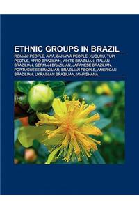 Ethnic Groups in Brazil