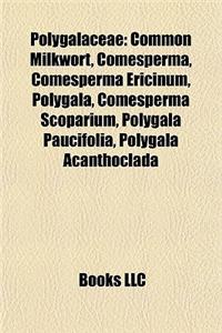 Polygalaceae Polygalaceae