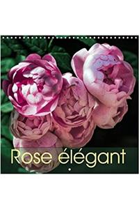 Rose Elegant 2018