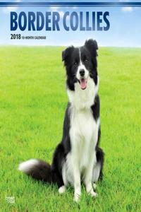 2018 Border Collies Wall Calendar