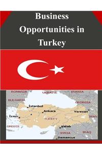 Business Opportunities in Turkey