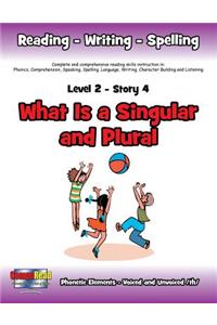 Level 2 Story 4-What is a Singular and Plural?