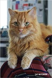 Cat Notebook