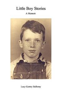 Little Boy Stories