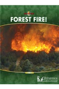 Forest Fire!