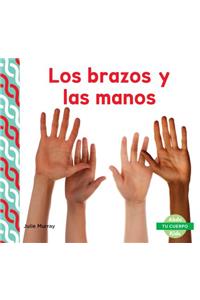 Brazos y Las Manos (Arms & Hands)