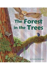 The Forest in the Trees