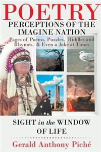 Perceptions of the Imagine Nation