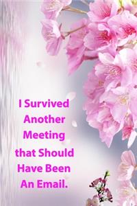 I Survived Another Meeting that Should Have Been an Email.