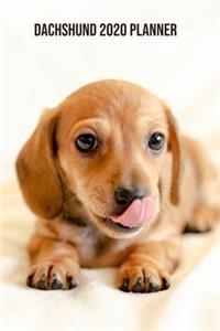 Dachshund Planner