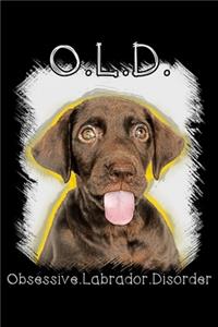 Old obsessive labrador disorder