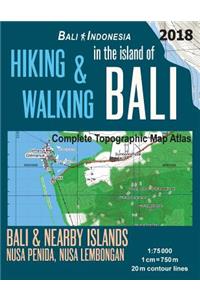 Hiking & Walking in the Island of Bali Complete Topographic Map Atlas Bali Indonesia 1