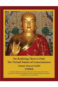 On Realizing There is Only the Virtual Nature of Consciousness