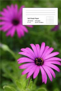 Graph Paper Notebook 6x9in 200 pages