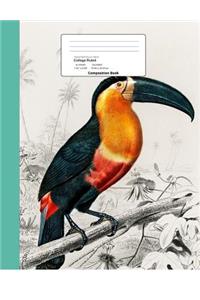 Tropical Bird Toucan Theme College Ruled Composition Book