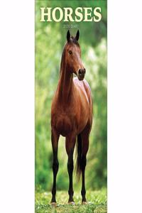 HORSES SLIM D 2020
