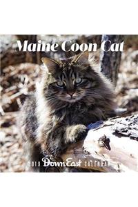 2019 Maine Coon Cat Wall Calendar