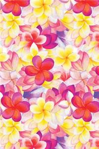 Frangipani