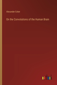 On the Convolutions of the Human Brain